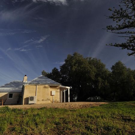 Peppermint Farm Cottage Mclaren Vale Extérieur photo